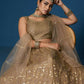 Brown Soft Netzari Embroidery Work Lehenga Choli - Jihu Culture