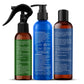Botanic Hearth Rosemary 3-Step Hair Care Trio