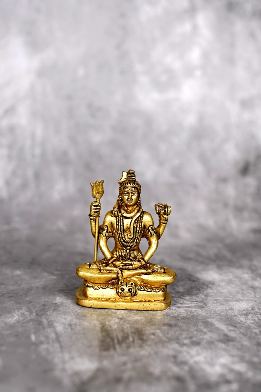 Sri Rudra Shivji – SR 01780 - Swadesiicart