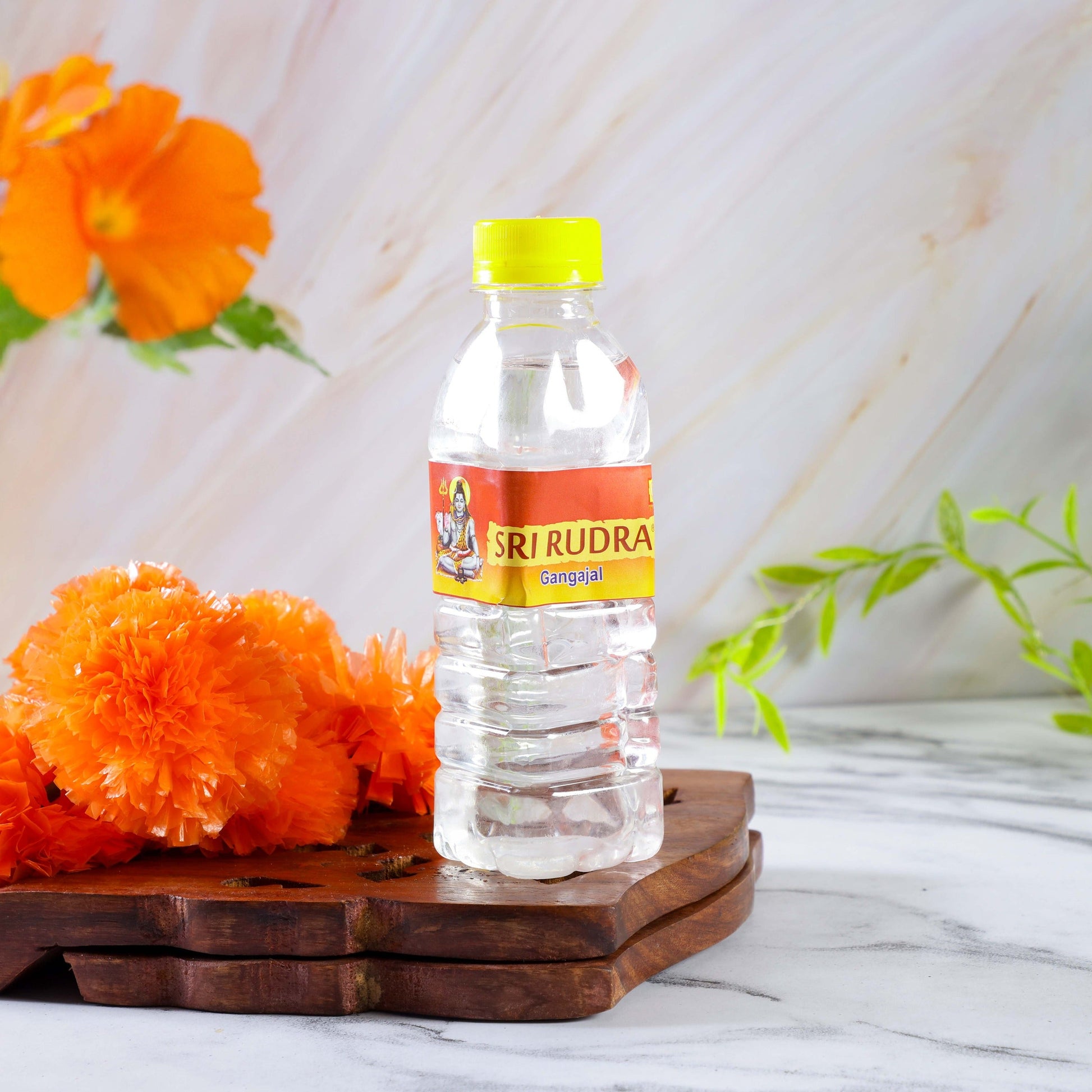 Sri Rudra Gangajal 200ml (SR 03449) | Swadesiicart