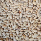 HimalayanWhitesafedrajmakidneybe