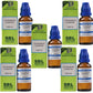 SBL Homeopathy Lycopodium Clavatum Dilution