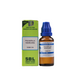 SBL Homeopathy Pulsatilla Nigricans Dilution 1000 CH