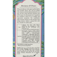 Amritam by Good Earth Seaberry Revitalising Face Oil