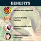 Herbal Hills Ayurveda Shigru Powder | Swadesiicart