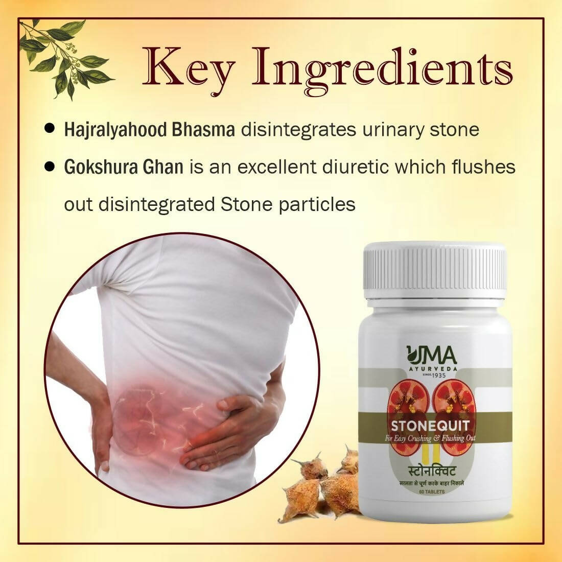 Uma Ayurveda Stonequit Tablets - Swadesiicart