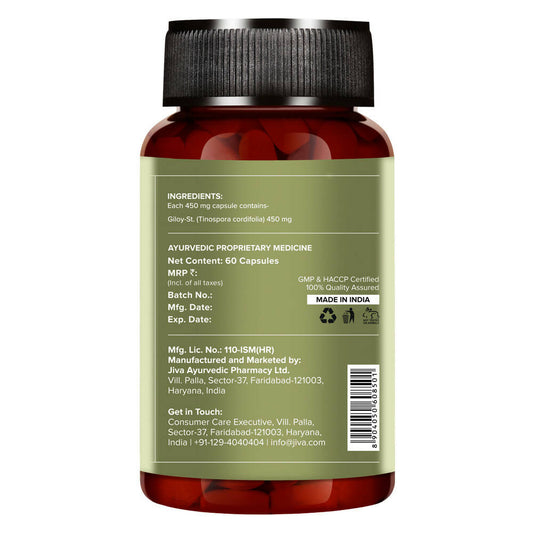 Jiva Ayurveda Giloy Capsules - Swadesiicart