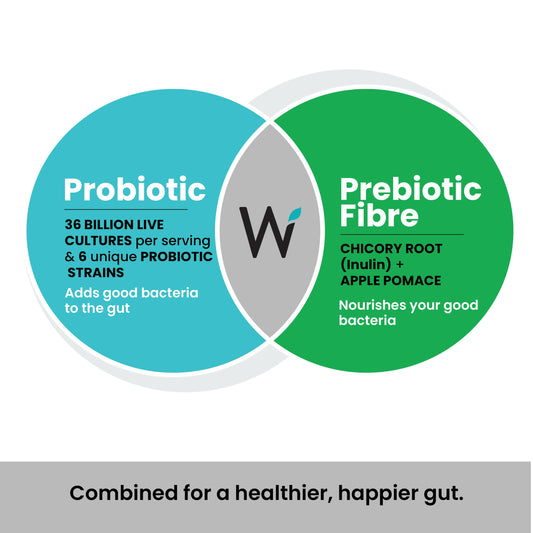Wellbeing Nutrition Probiotic + Prebiotic Effervescent Tablets-Green Apple & Mint Flavor - Swadesiicart