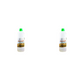 Sri Rudra Gangajal 200ml (SR 03449) | Swadesiicart