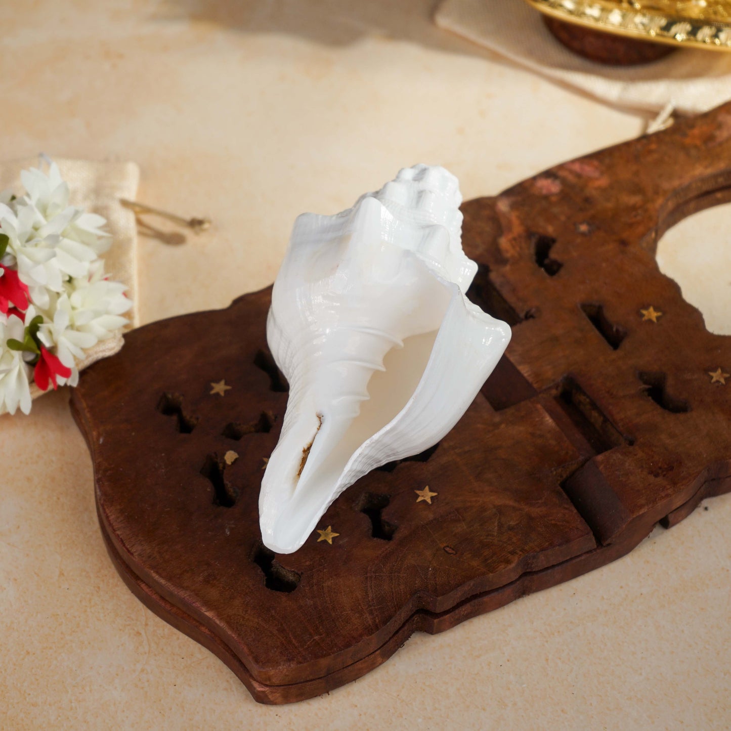 Sri Rudra Blowing Shank Big (SR 03095) | Swadesiicart