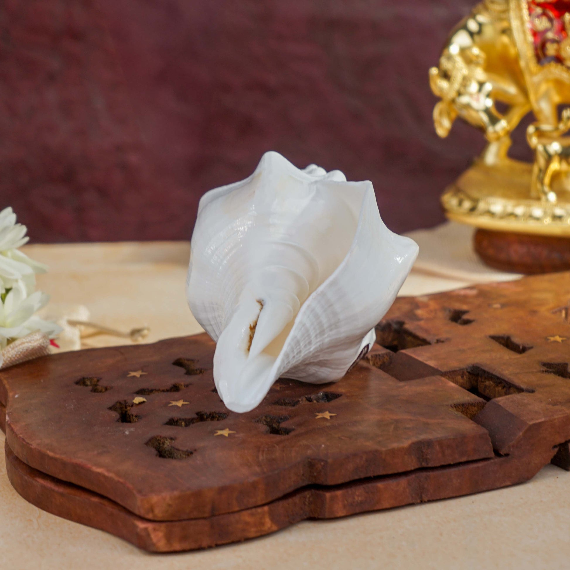 Sri Rudra Blowing Shank Big (SR 03095) | Swadesiicart