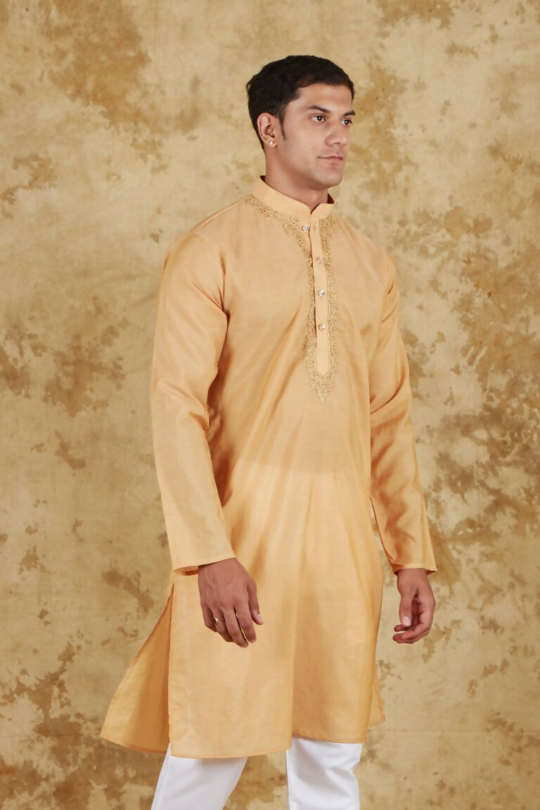 Bluesaanchi Men's Chandery Silk Khaki Embroidered Kurta Set | Swadesiicart