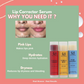 House of Beauty Pout Perfect Tinted Lip Balm Set - Swadesiicart