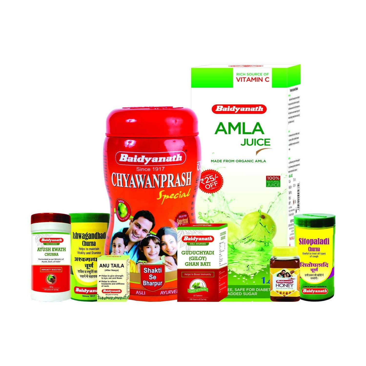 Baidyanath Jhansi Family Immunity Kit - Ayurvedant Pvt. Ltd.