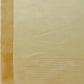 Shree Shyam Fashion Elegant Light Yellow Organza Saree with Zari Border | Lightweight Transparent Saree with Blouse Piece for Festive & Daily Wear