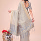 Shree Shyam Fashion Light Grey Organza Saree - Ethereal Sophistication in Every Fold