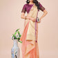 Shree Shyam Fashion Light Pink Gold Organza Silk Saree - Lightweight Luxury for Your Ethnic Moments