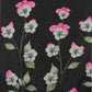 Black Cotton Blend Printed Floral Saree with Unstitched Blouse - Hiral Fashion | Swadesiicart