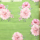 Olive Cotton Blend Digital Print Floral Saree with Unstitched Blouse - Hiral Fashion | Swadesiicart