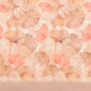 Beige Pure Cotton Printed Floral Saree with Unstitched Blouse - Hiral Fashion | Swadesiicart