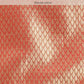 Pink Brocade Woven Zari Design Ethnic Motifs Saree with Unstitched Blouse - Hiral Fashion | Swadesiicart