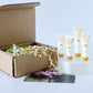 Sample Kit - Dry (Pitta) Skin - Quiz Custom Offer