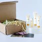 Sample Kit - Oily (Pitta) Skin - Quiz Custom Offer