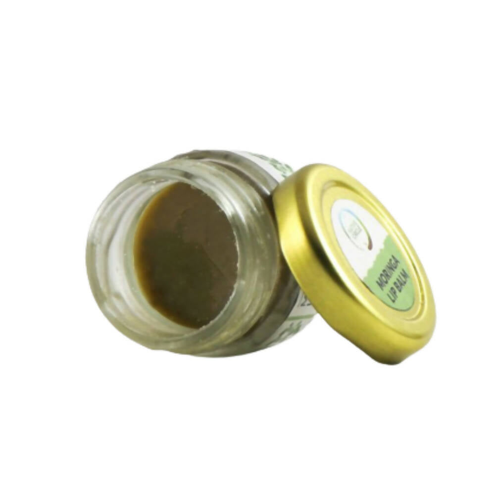 Native Circle Moringa Lip Balm - Swadesiicart