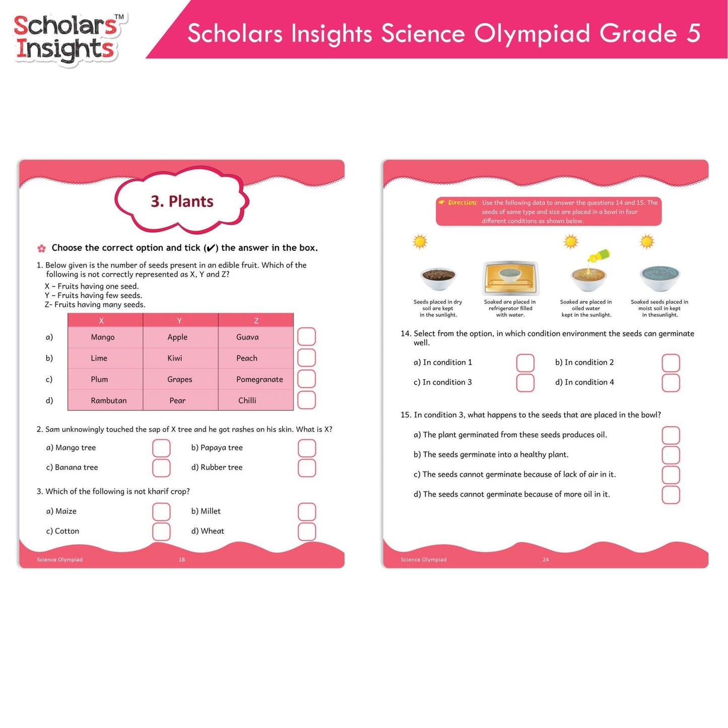 Scholars Insights Olympiad English, Maths and Science Workbooks Grade 5| Set of 3| Ages 10 - 12 Year - Swadesiicart