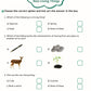 Scholars Insights Science Olympiad Grade 1| Science Practical Questions in MCQ format, QMR Sheet, Self Evaluation Sheet, Test Paper|Ages 6-7 Years - Swadesiicart