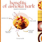 Organic Ayurvedistan Ashoka Bark Powder - Swadesiicart