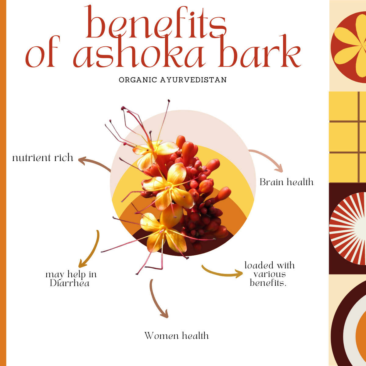 Organic Ayurvedistan Ashoka Bark Powder - Swadesiicart