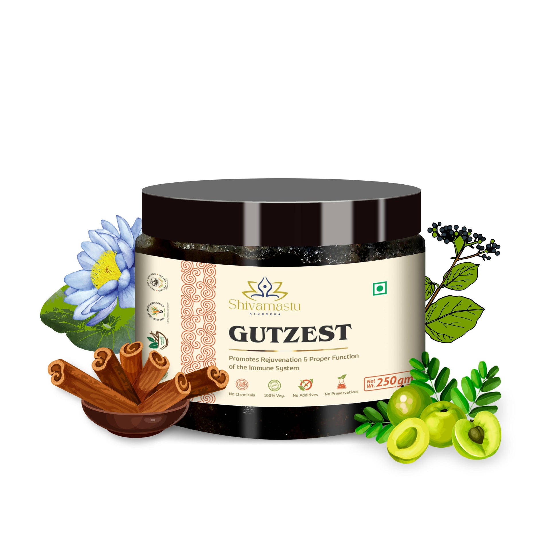 Shivamastu Ayurveda Gutzest Chyawanprash | Swadesiicart