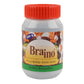 Dehlvi Braino A Complete Brain Tonic | Swadesiicart