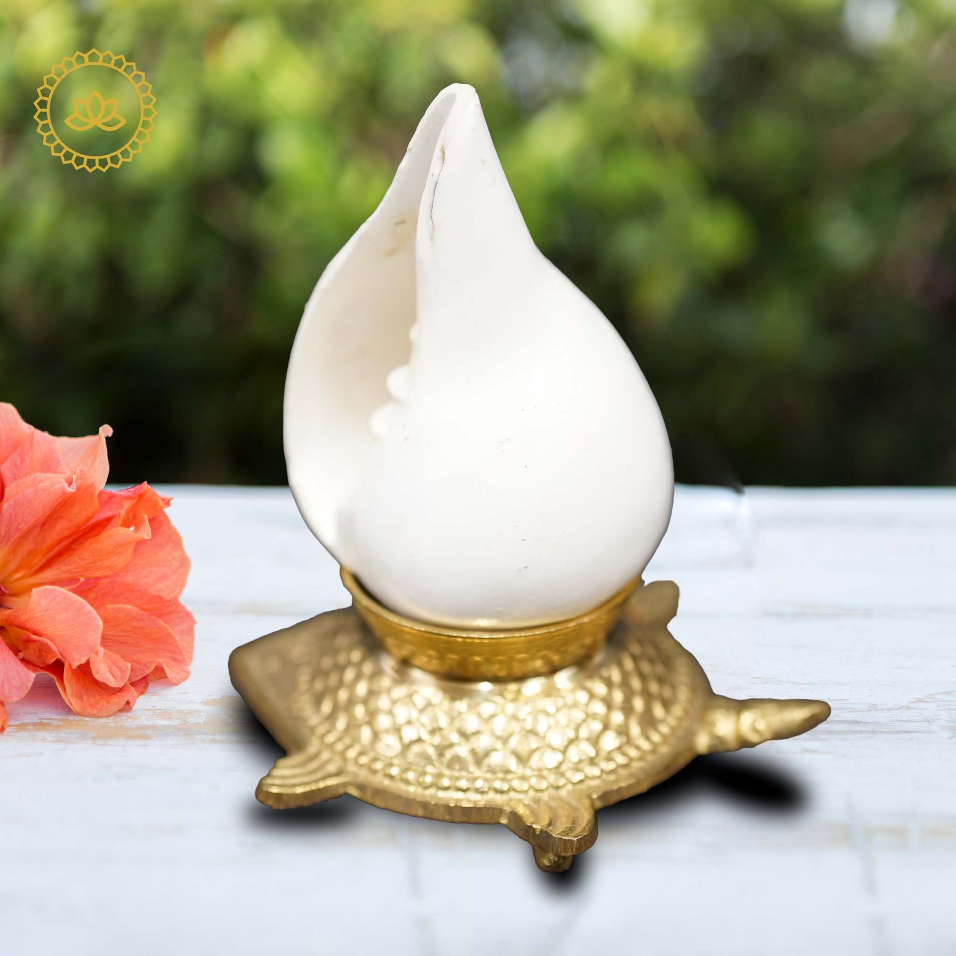 Shank with Brass Stand: Harmonize Your Pooja Rituals - Divine India Art