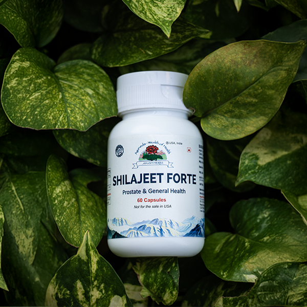 Shilajeet Forte – General Health Supplements