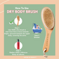 House of Beauty Dry Brush - Swadesiicart