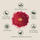 Timeless Kumkumadi Oil: Special Offer