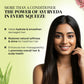 Smooth & Shine Conditioner | Aloe Vera, Almond & 14 Herbs
