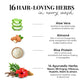 Smooth & Shine Conditioner | Aloe Vera, Almond & 14 Herbs (Copy)