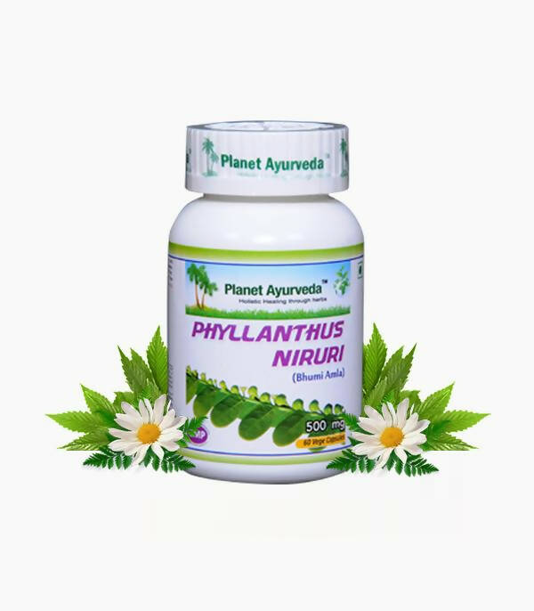 Planet Ayurveda Phyllanthus Niruri Capsules - Planet Ayurveda