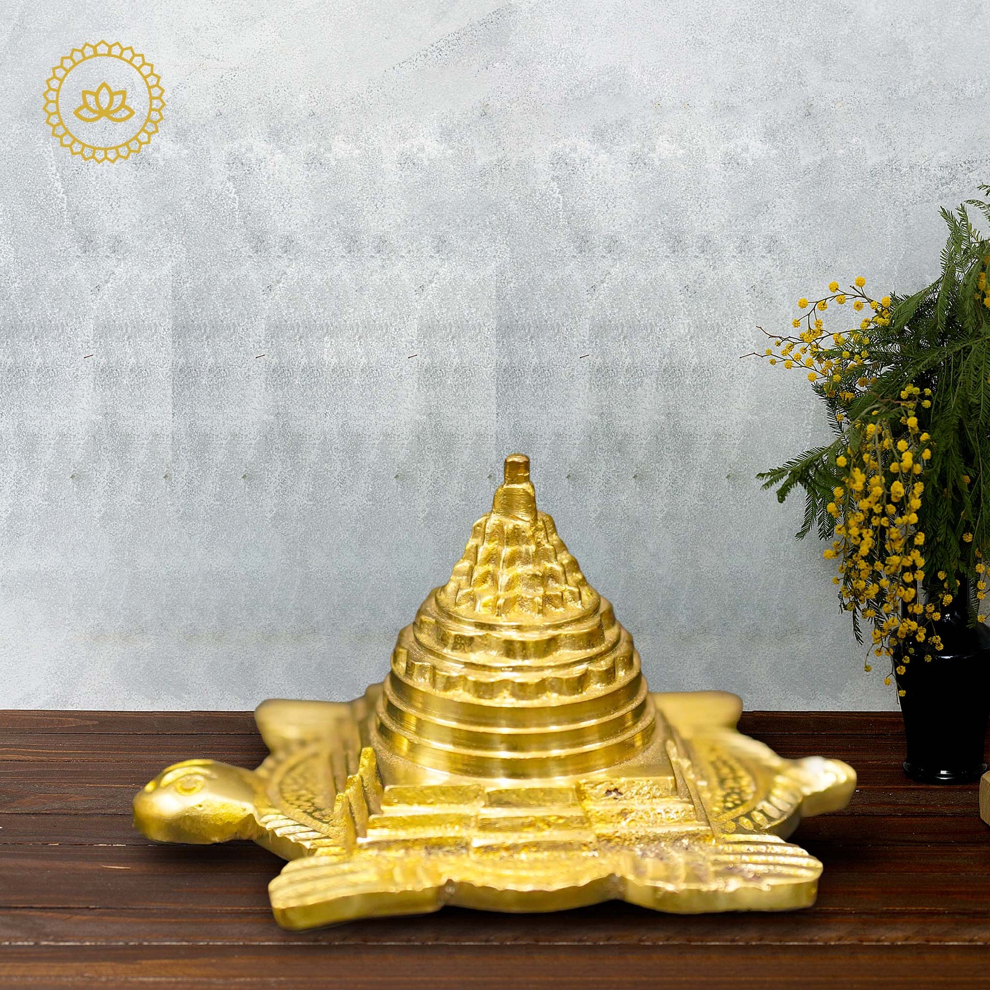 Sri Yantra on Tortoise for Vastu - Harness Positive Energy and Balance in Your Space - Divine India Art