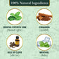 Vithoba Ayurvedic Premium Herbal Toothpaste - Swadesiicart