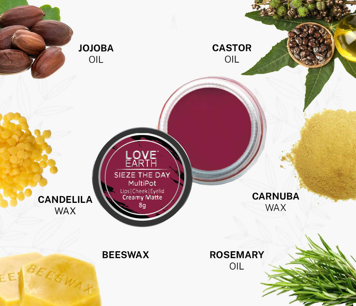Love Earth Lip Tint & Cheek Tint Multipot-Sieze The Day - Swadesiicart