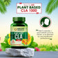 Himalayan Organics Plant Based CLA 1000 Healthy Weight Management Vegetarian Capsules - Swadesiicart
