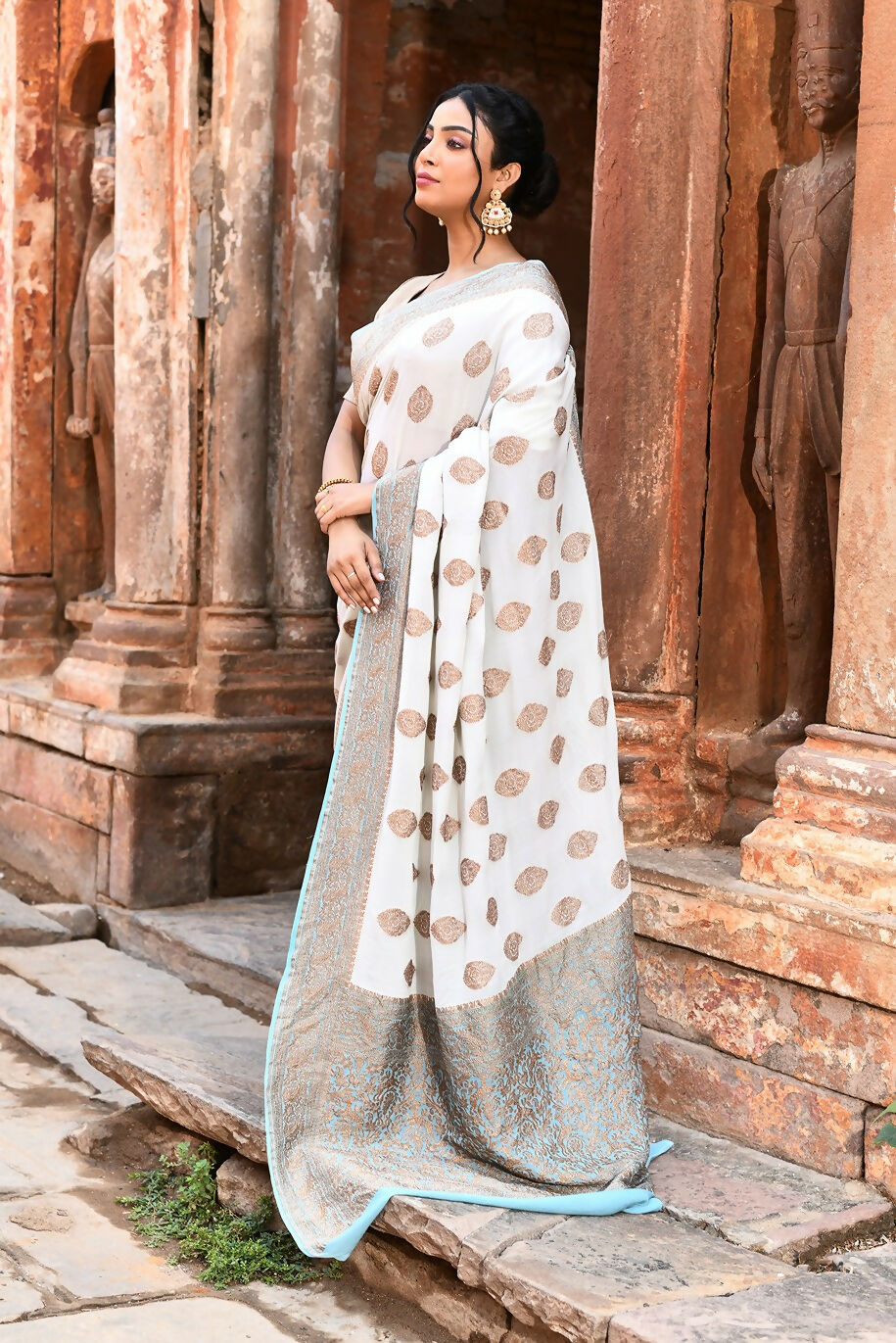 Joban Fashion Light Sky Blue Crepe Chiffon Pure Handloom Banarasi Silk Saree | Swadesiicart