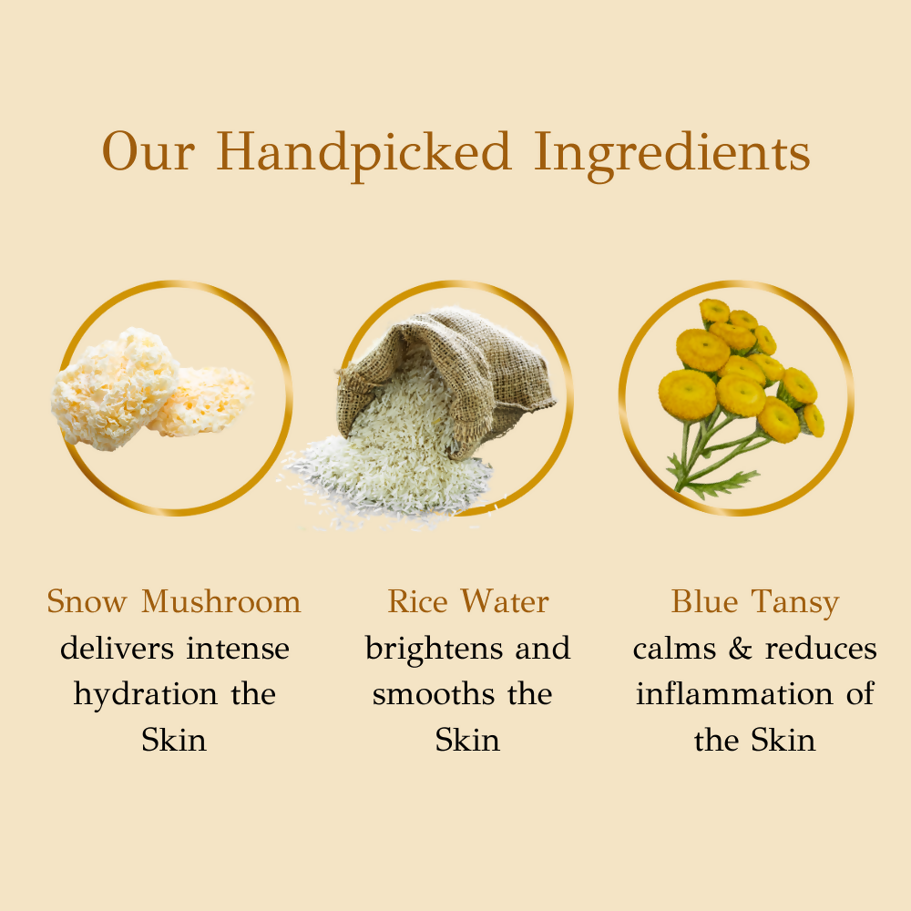 dBasic Hydra Boosting Gel, Lightweight Moisturizer with Snow Mushroom, Rice Water, Ceramides | Swadesiicart