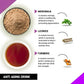 Just Vedic Anti Aging Drink Mix - Swadesiicart
