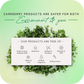 Careberry Organic Tea Tree Eucalyptus Oil Shower Gel