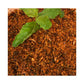 Amoga's Pickles Factory Mint Leaves Karam Podi - Swadesiicart